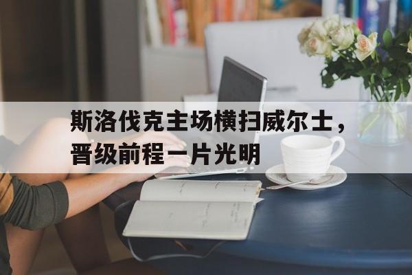 九游游戏官网-斯洛伐克主场横扫威尔士，晋级前程一片光明